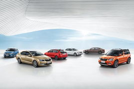 2014年中國汽車市場斯柯達品牌銷量排名躍升十位